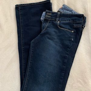 Paige Hidden Hills Petite Bootcup jeans